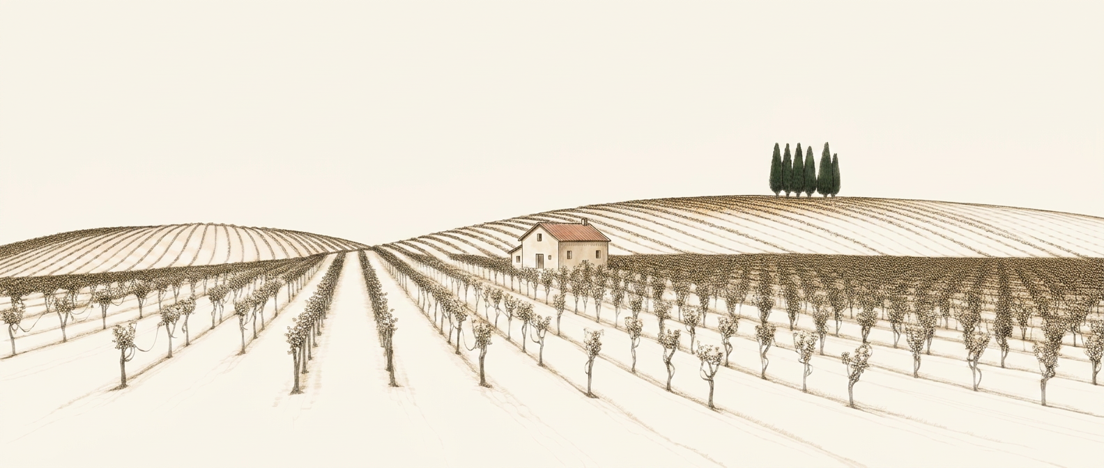 Ilustrace vily mezi vinicemi